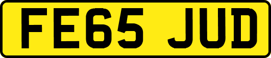 FE65JUD