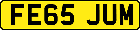 FE65JUM