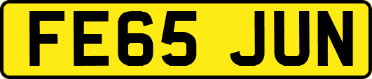 FE65JUN