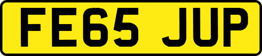 FE65JUP