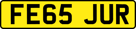 FE65JUR