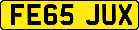 FE65JUX