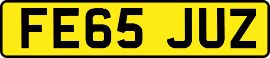 FE65JUZ