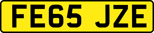 FE65JZE