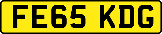 FE65KDG