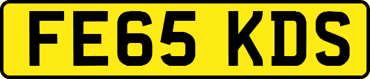 FE65KDS