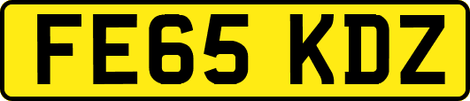 FE65KDZ