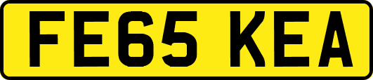 FE65KEA