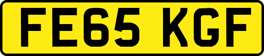 FE65KGF