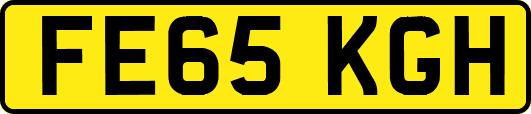 FE65KGH