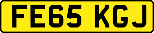FE65KGJ