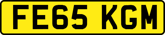 FE65KGM