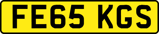 FE65KGS