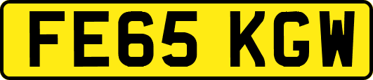 FE65KGW