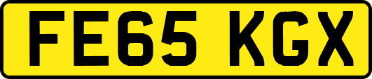 FE65KGX