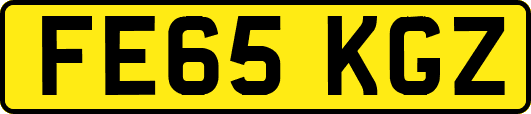 FE65KGZ