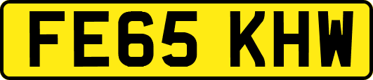 FE65KHW