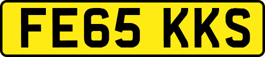 FE65KKS