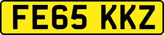 FE65KKZ