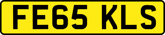 FE65KLS