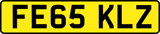 FE65KLZ