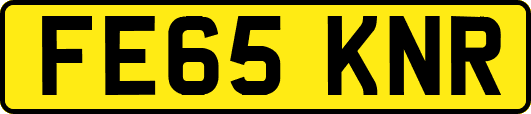 FE65KNR