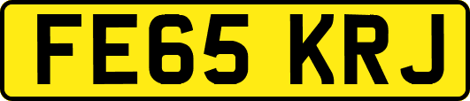 FE65KRJ