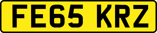 FE65KRZ