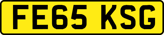 FE65KSG