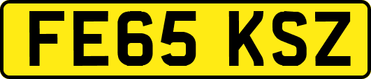 FE65KSZ