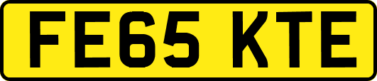 FE65KTE