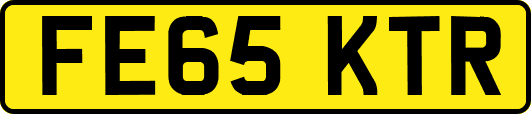 FE65KTR