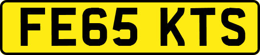 FE65KTS