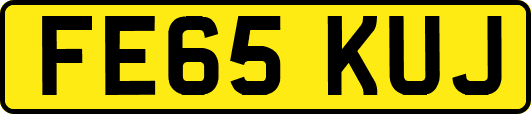 FE65KUJ