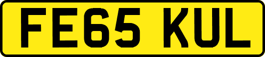 FE65KUL