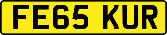 FE65KUR