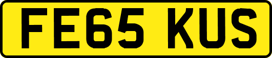 FE65KUS