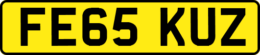 FE65KUZ