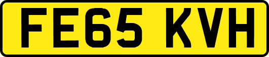 FE65KVH