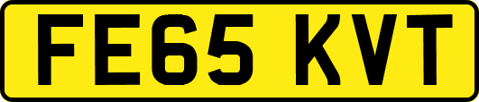 FE65KVT