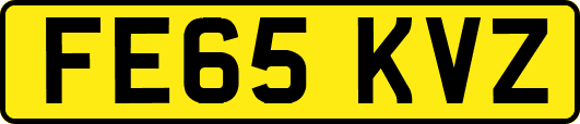 FE65KVZ