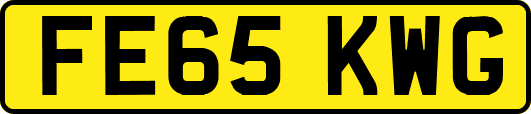 FE65KWG
