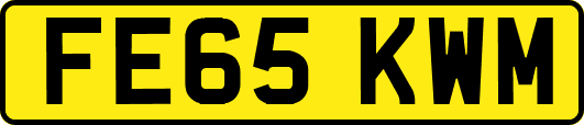FE65KWM