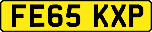 FE65KXP