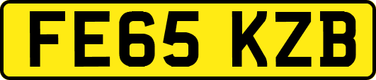 FE65KZB