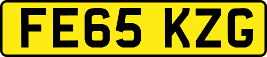 FE65KZG