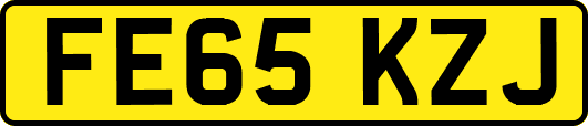 FE65KZJ