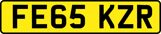 FE65KZR