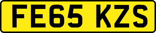 FE65KZS