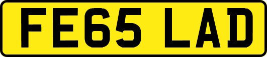 FE65LAD